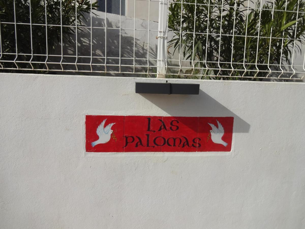 Las Palomas, Appartement 3 Chambres Avec Piscine Turís Zewnętrze zdjęcie